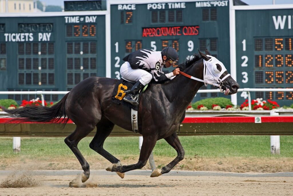 The Impact of Weather Data on Sports Betting Odds